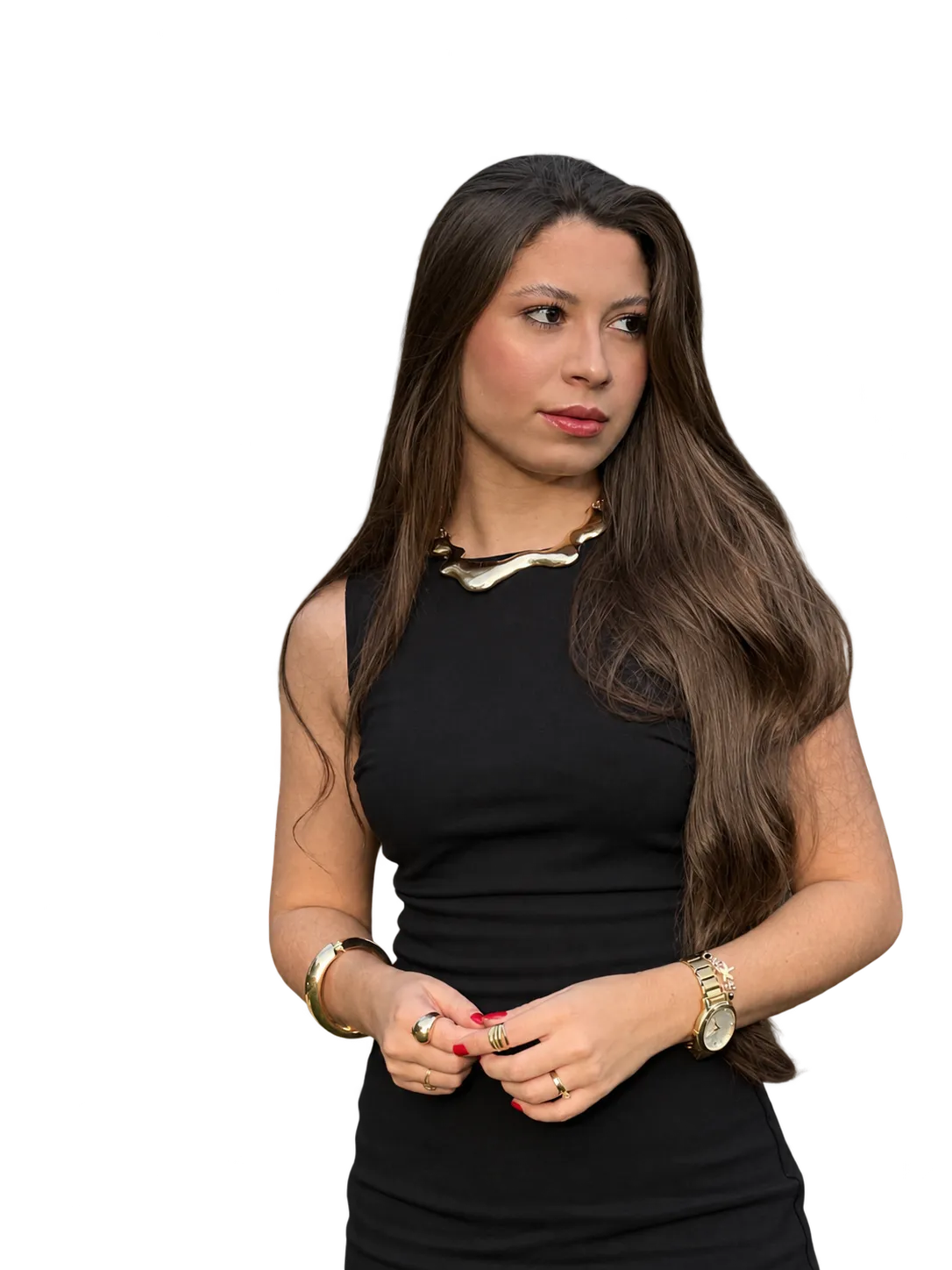 Edith Silva de Almeida Santos, advogada previdenciária